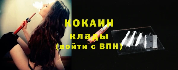 не бодяженный Алексин