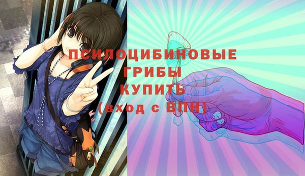 не бодяженный Алексин