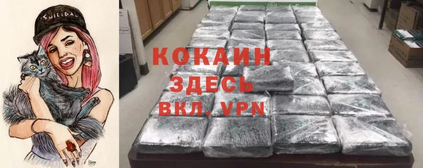 не бодяженный Алексин