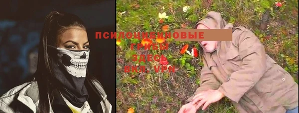 спиды Алексеевка
